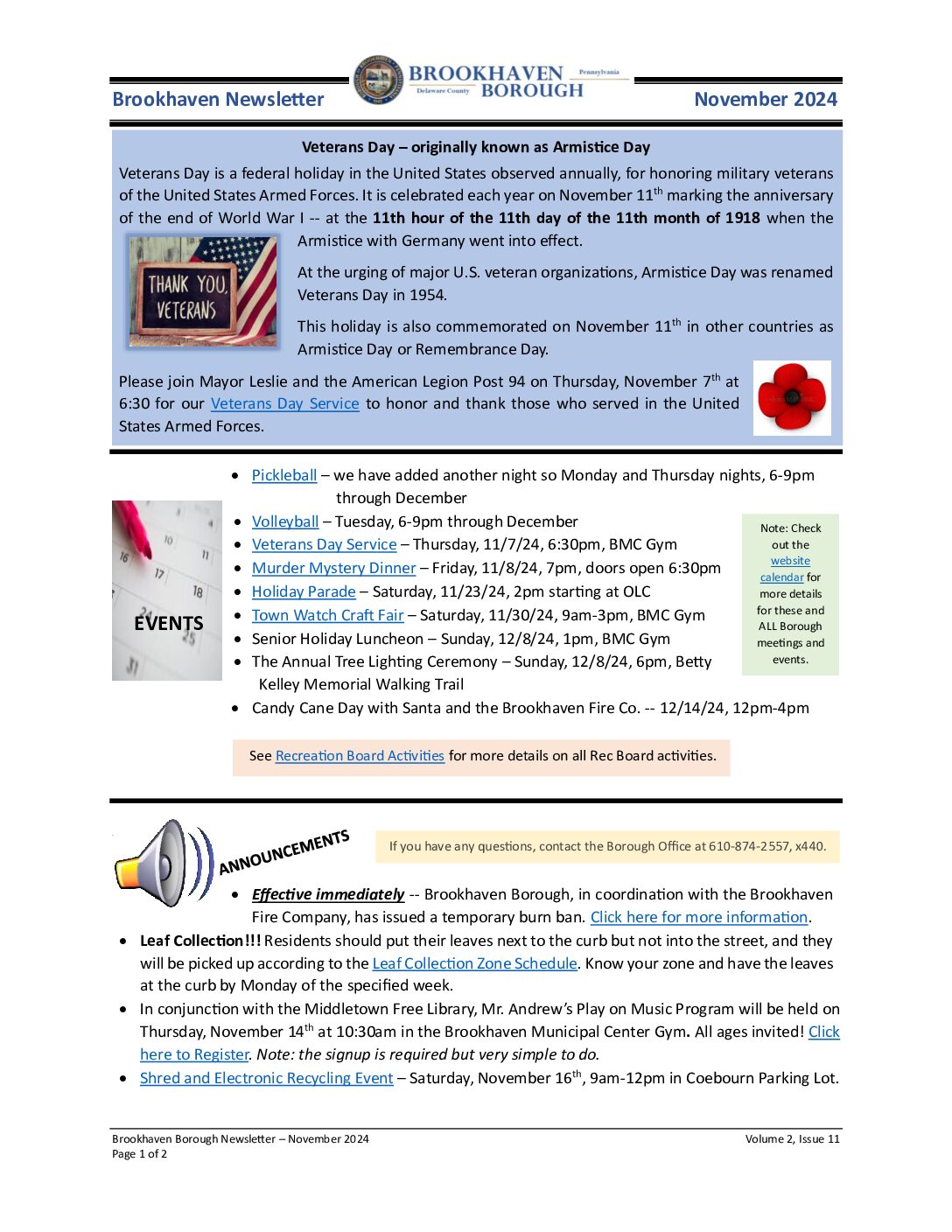 Thumbnail of the first page of 'Newsletter – November 2024'